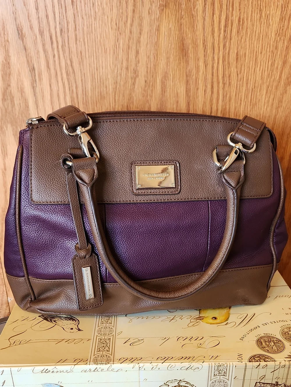 Tignanello Brown and Plum Two-Tone Leather Satchel